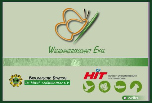 Wiesenmeisterschaft